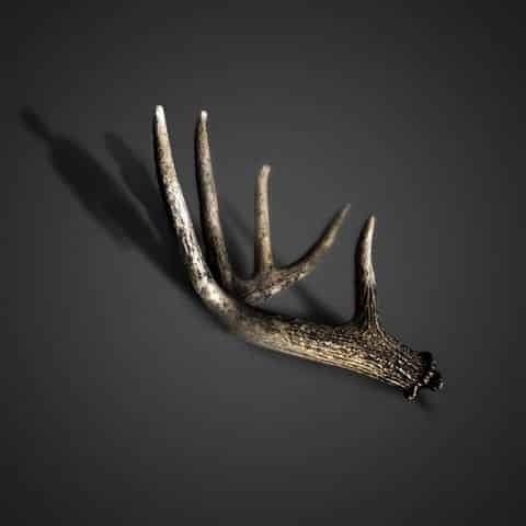 با من قدم بزن سورنا با من قدم بزن سورنا